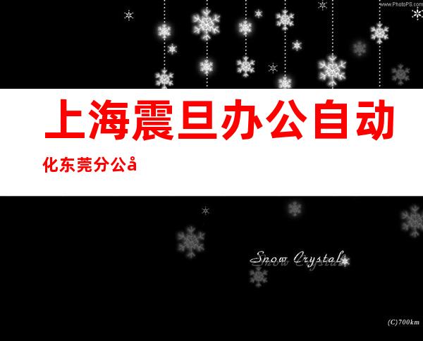 上海震旦办公自动化东莞分公司