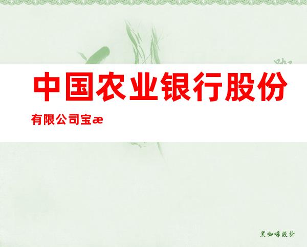 中国农业银行股份有限公司宝泉岭汤原支行