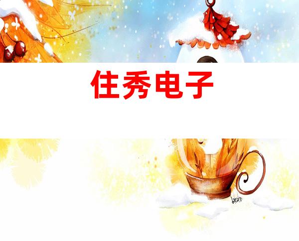 住秀电子