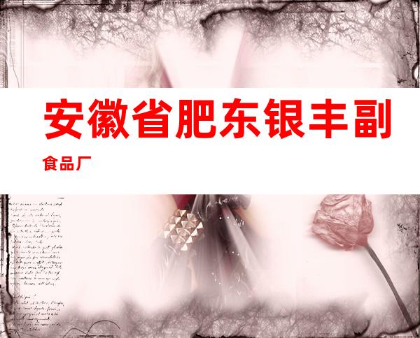 安徽省肥东银丰副食品厂