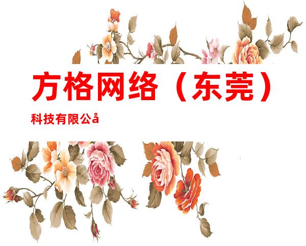方格网络（东莞）科技有限公司