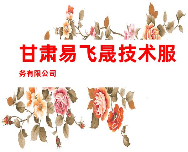 甘肃易飞晟技术服务有限公司